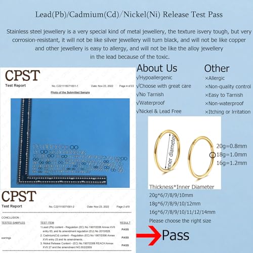 Lantine 5 Pcs 6mm Small Nose Rings Hoops for Women Set 316L Surgical Steel Septum Rings Rook Daith Tragus Piercing Jewelry Hinged Cartilage Gold Hoop Earrings 20G