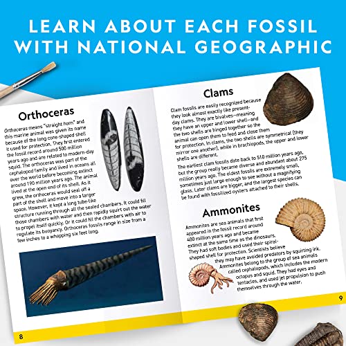 NATIONAL GEOGRAPHIC Mega Fossil Dig Kit - Excavate 15 Genuine Prehistoric Fossils, Kids Fossil Kit, Educational Toys, Great Science Kit Gift for Girls and Boys (Amazon Exclusive)