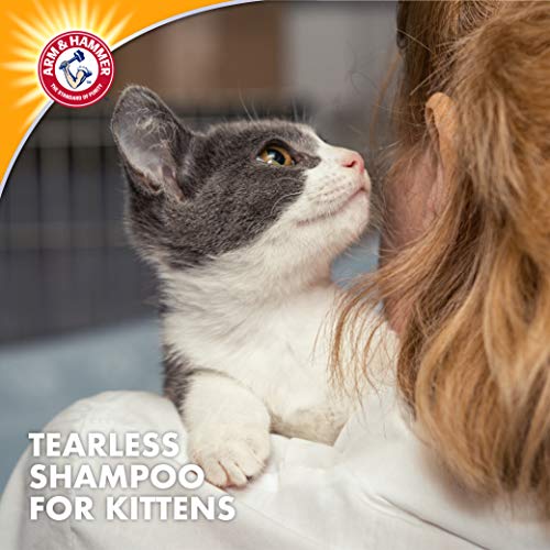 Arm & Hammer Tearless Kitten Shampoo for Cats Natural Cat Shampoo for Odor Control with Baking Soda, 20 Fl Oz Gentle Cleansing Kitten Shampoo in Sweet Almond Scent (Pack of 1)