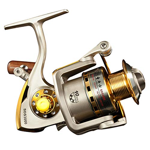 Diwa Spinning Fishing Reels for Saltwater Freshwater 1000 2000 3000 4000 5000 6000 Series Fishing Spool Left/Right Interchangeable Trout Carp Spinning Reel 10 Ball Bearings Light and Smooth (1000)