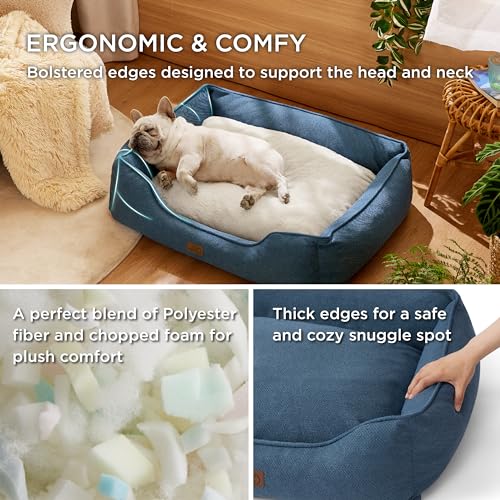 Bedsure Washable Dog Bed for Small Dogs - Waterproof All-Season Foam Puppy Beds, Orthopedic Rectangle Cuddle Indoor Cat Beds with Removable Zipper Cover, 25x21x8inches, Blue