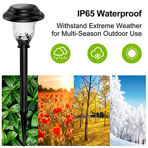 Balhvit Glass Solar Lights Outdoor, 2 Pack Super Bright Solar Pathway Lights, Up to 12 Hrs Long Last Auto On/Off Garden Lights Solar Powered Waterproof, Stainless Steel LED Landscape Lighting for Yard