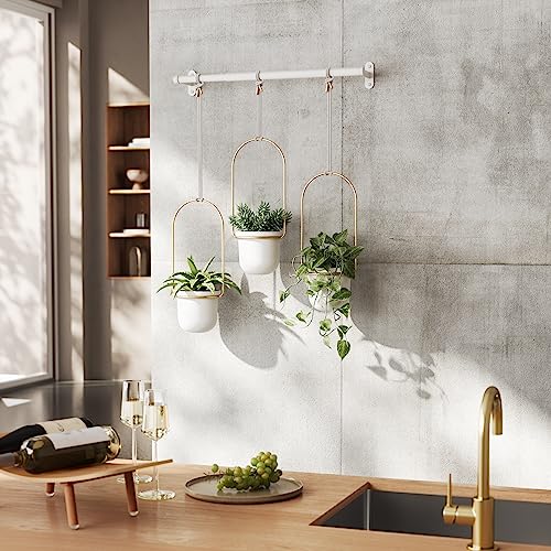 Umbra Triflora Hanging Planter for Window, Indoor Herb Garden, Set of 3, White/Brass