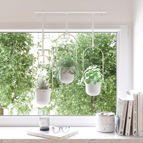 Umbra Triflora Hanging Planter for Window, Indoor Herb Garden, Set of 5, Black