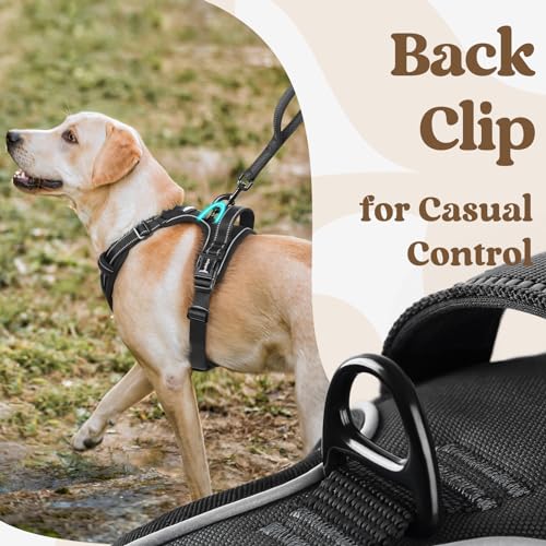 rabbitgoo Dog Harness Small Sized, No Pull Pet Harness with 3 Buckles, Adjustable Soft Padded Dog Vest with Instant Control Handle, Easy Walking Reflective Pet Vest for Small Dogs, Black, S