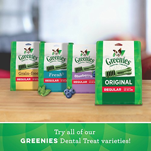 Greenies TEENIE Natural Dental Care Dog Treats Mint Fresh Flavor, 12 oz. Pack (43 Treats)