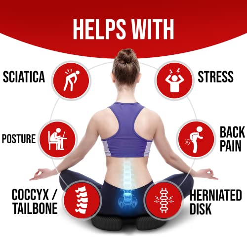 FORTEM Chair Cushion, Seat Cushion for Office, Lumbar Support for Chair, Back Support Memory Foam Pillow Washable Cover, XL (Black, Mesh)