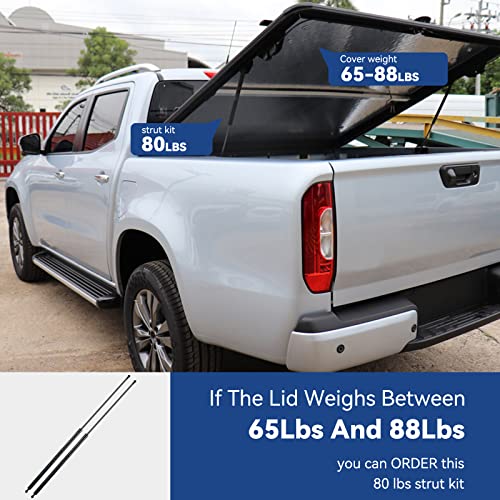 ARANA SE24OTHER30 24 inch 30Lb/134N Gas Struts Spring Shocks SE24OTHER30 24 inch 30Lb Lift Support for RV Motorhome Door Camper Shell Rear Window Tonneau Cover Canopy Hatch Teardrop Camper, Set of 2