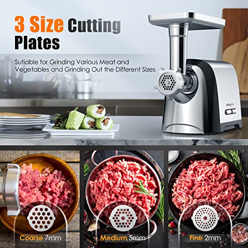 Ollygrin Meat Grinder Electric Stainless Steel, Meat Grinder Electric Sausage Stuffer, Meat Grinder Maker Heavy Duty 2600W Max With 2 Blades, 3 Plates, Sausage Stuffer Tube For Home Kitchen Use