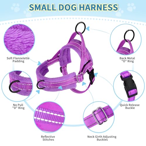 Lukovee No Pull Dog Harness and Leash Set, Soft Padded Small Dog Harness, Neck & Chest Adjustable Reflective Vest Puppy Harness with 4ft Lightweight Anti-Twist Dog Leash for Small Dogs (XXS, Purple)
