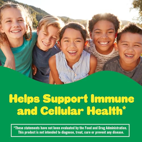 L’il Critters Immune C Daily Gummy Supplement Vitamin for Kids, for Vitamin C, D and Zinc for Immune Support, Orange, Lemon and Cherry Flavors, 190 Gummies