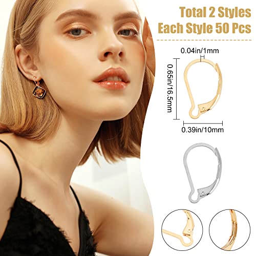 Beebeecraft 100Pcs Real 24K Gold Plated Leverback Earwires French Earring Hooks Gold and Stainless Steel Color 16.5x10mm Interchangeable Dangle Ear Wire Findings Stainless Steel for Jewelry Making