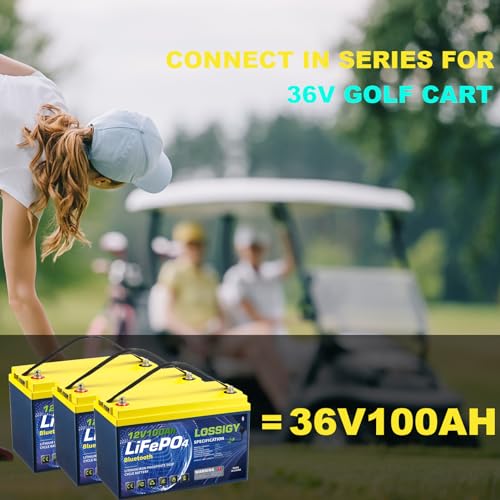 LOSSIGY 12V 100AH Bluetooth Lifepo4 Battery with 12V 10A Smart Lithium Charger, 10 Yrs Lifespan, Prefect for RV, Golf Cart, Solar System, Trolling Motor, Marine, Boat