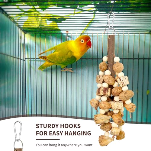 HPAWHOMEPART Large Bird Toys,Chewing Toys for Parrot,Natural Nut Hanging Toys for Parakeet,Lovebirds,Finch,Macaws,Cockatiel