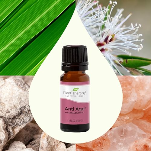 Plant Therapy Organic Lavender Essential Oil 100% Pure, Pre-Diluted Roll-On, Natural Aromatherapy, Therapeutic Grade 10 mL (1/3 oz)