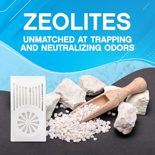 NonScents Refrigerator Deodorizer – Odor Eliminator for Fridge & Freezer – Outshines Baking Soda & Deodorizer with Activated Charcoal – Unscented & Long-Lasting, Freshen Refrigerator (2-Count)
