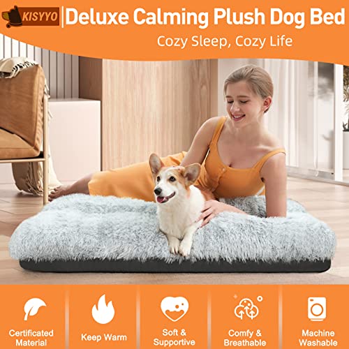 KISYYO Fixable Deluxe Plush Dog Bed or Cat Bed Ideal for Mini Pets or XXS Dog Breeds, Fits for 18-Inch Dog Crate, Easy Maintenance Machine Wash & Dry, 18 x 12 x 3 Inches, Grey