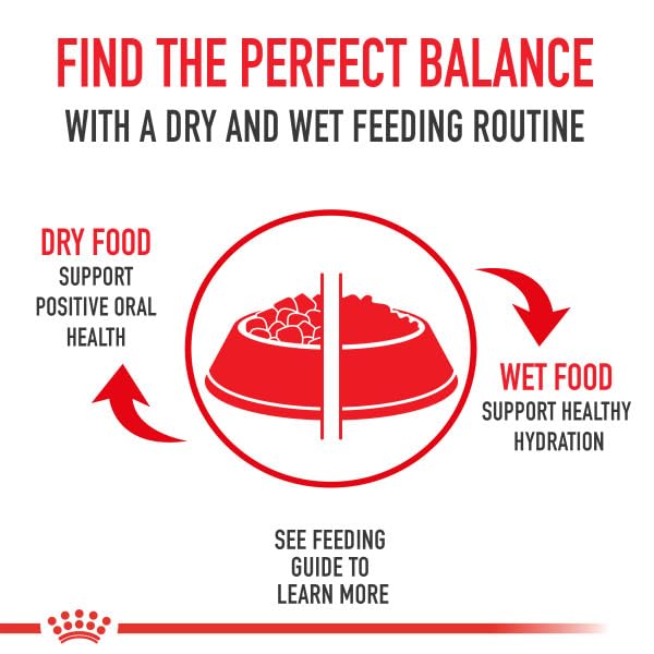 Royal Canin Bichon Frise Adult Dry Dog Food, 3 lb bag