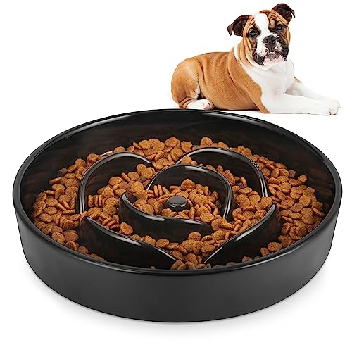 Sted Puzzle Slow Feeder Dog Bowl, Slow Eating Dog Dishes for Medium Large Dogs, Slow Down Eating for Dog Fast Eaters, Dog Maze Slow Feeder Bowl, Blue
