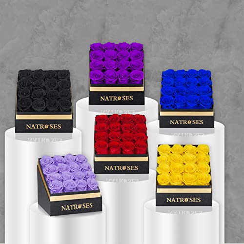 NATROSES Forever Preserved Roses in a Box, 100% Real Roses That Last Up to 3 Years, Flowers for Delivery Prime Birthday, Valentines Day Gifts for Her (Black)