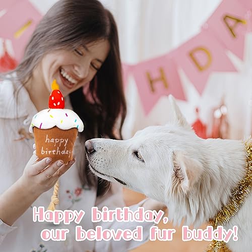 REQIHO Dog Birthday Toys - Plush Squeaky Cake Dog Toy, Strawberry Birthday Gift