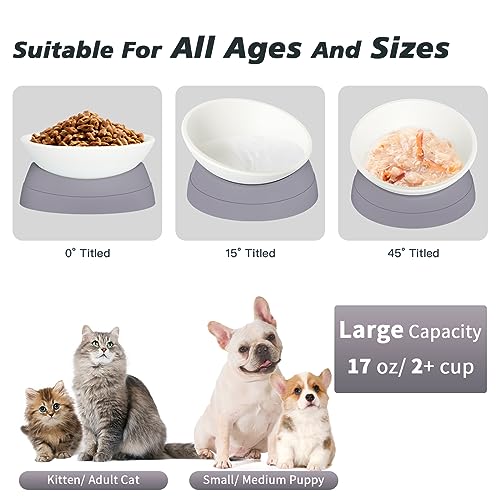 Ravitat 3Pcs Elevated Cat Food Bowl - Adjustable, Anti-Slip & Anti-Noise, Protects Pet's Spine - Thickened Plastic, 17 Oz