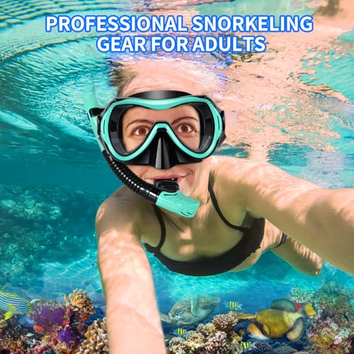 WHOHOLL Snorkeling Gear for Adults, Anti-Fog and Anti-Leak Dry Snorkel Set, 180°Panoramic Wide View Diving Mask Snorkel Kit for Snorkeling Scuba Diving Swimming Travel