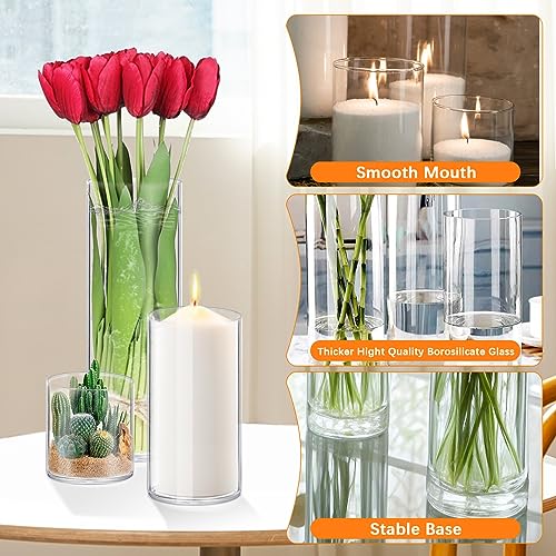 4 Pack Glass Cylinder Vases 4,6,8,10 Inch Tall Clear Flower Vase Hurricane Floating Candle Holder for Table Centerpiece Wedding Home Decor