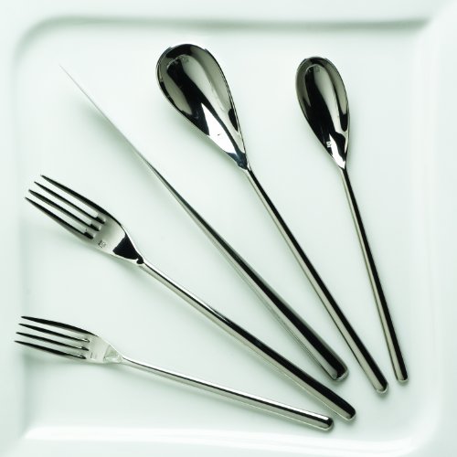 Fortessa Dragonfly 18/10 Stainless Steel 20-Piece Flatware Set, Service for 4