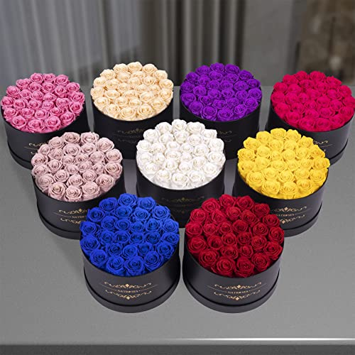 NATROSES Forever Preserved Roses in a Box, 100% Real Roses That Last Up to 3 Years, Preserved Flowers for Delivery Prime Birthday, Valentines Day Gifts for Her (Black)