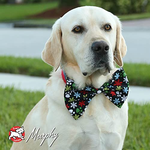 Fromm Family Foods 727009 Lamb & Lentil Dry 12 Lb Bag Dog Food (1 Pack), One Size