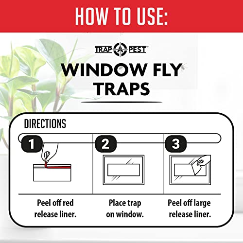 Window Fly Traps Indoor Clear (30 Pack) - Fly Window Traps for Indoors Sticky, Indoor Fly Trap Non-Toxic Fly Strips for Windows - Fly Sticky Traps Indoor Fly Paper Indoor Bug Sticky Traps (8.25" x 5")