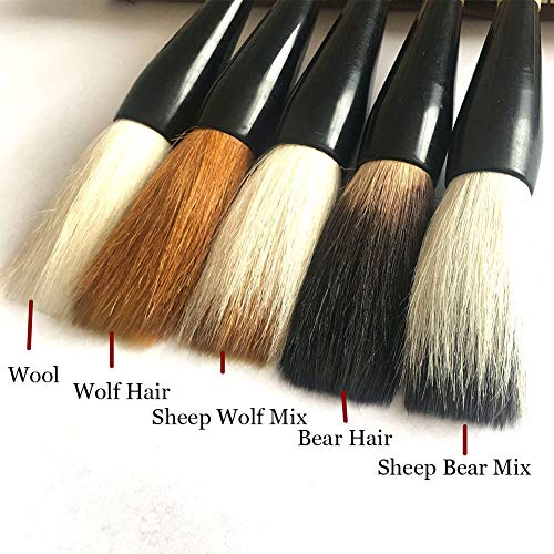Hbasyp Chinese Traditional Calligraphy Brush/Chinese Calligraphy Watercolor Drawing Brush-Large brush (5-Pack)