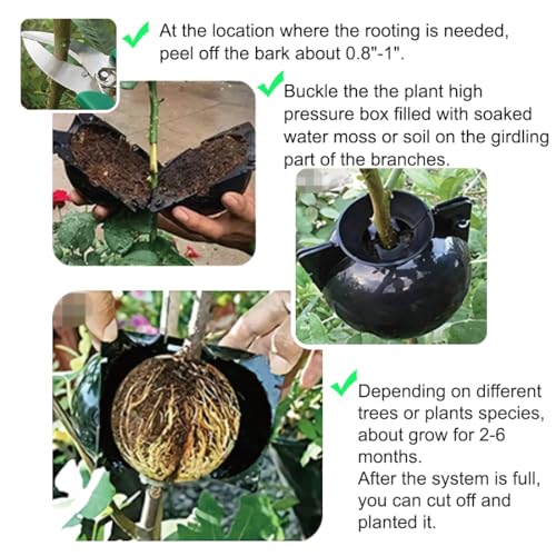 MIIIM 10 PCS Air Layering Propagation Kit with Zip Ties, Reusable Half Transparent Grafting Ball, Air Layering Pods Clear, Plant Rooting Grafting Box for Fast Propagation Plants (Medium)