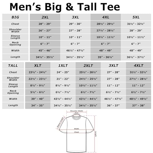 Star Wars Big & Tall Tatooine Post Card Men's Tops Short Sleeve Tee Shirt, Athletic Heather, Large