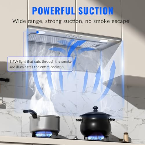 20 Inch Insert Range Hood,600 CFM Stainless Steel Built-in Kitchen Hood,Ducted/Ductless Convertible Kitchen Vent Hood,with LED Lamps,3-Speed Exhaust Fan,Dishwasher Safe Baffle Filters