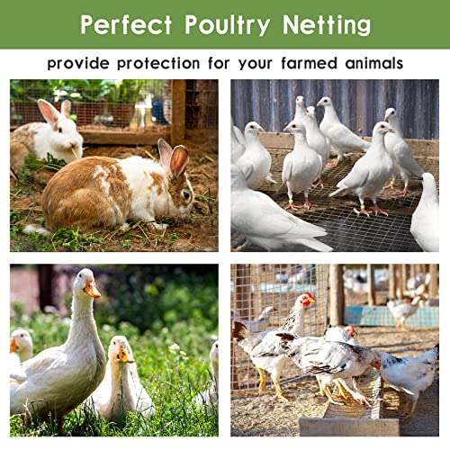 Tongmo 24" x 50' Hardware Cloth, 1inch Mesh Galvanized Chicken Wire Fence, 19 Gauge Welded Wire Roll,Garden Fence, Poultry Netting for Rabbit/Duck/Chicken Coop