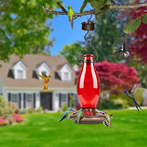 BOLITE Hummingbird Feeder, Glass Hummingbird Feeders for Outdoors Hanging, Five Feeding Ports, 22 Ounces, Red Bottle