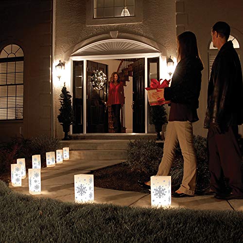 LumaBase 82906 Remote Control Battery Operated LED Luminaria Kit, Silver Snowflake