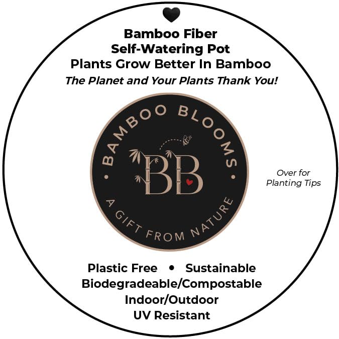 16 Inch Self-Watering Bamboo Planter (Black) - Rectangular - Bamboo Fiber - No Overwatering or Root Rot