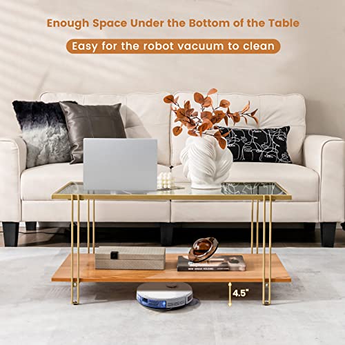 Tangkula Glass Coffee Table, 40In Mid Century 2 Tier Rectangle Coffee Table, Tempered Glass Top & Wood Storage Shelf, Steel Frame, Adjustable Feet, Modern Cocktail Accent Table for Living Room (Gold)