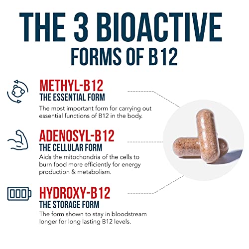 BioActive Vitamin B12 - 5000 mcg, Contains 3 BioActive B12 Forms Plus Methylfolate Cofactor - Methyl B12, Adenosyl B12 & Hydroxy B12 | Supports Energy, Metabolism & Mood | Vegan, Non-GMO (60 Servings)