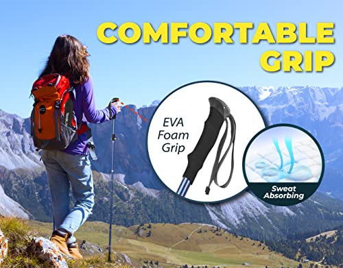 TREKOLOGY Trekking Poles for Hiking Poles Collapsible Lightweight Hiking Sticks Hiking Poles for Men Walking Sticks for Hiking Sticks for Women Walking Poles Hiking Poles for Women TREKZ SE Blue 2PC