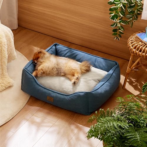 Bedsure Washable Dog Bed for Small Dogs - Waterproof All-Season Foam Puppy Beds, Orthopedic Rectangle Cuddle Indoor Cat Beds with Removable Zipper Cover, 25x21x8inches, Blue