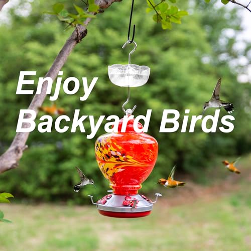 Ant Moat for Hummingbird Feeders, (4 Pack, 6 OZ) Vintage Style Hummingbird Feeder Ant Guard, Ant Guard for Hummingbird Feeder, Ant Stopper for Hummingbird Feeder (Clear)