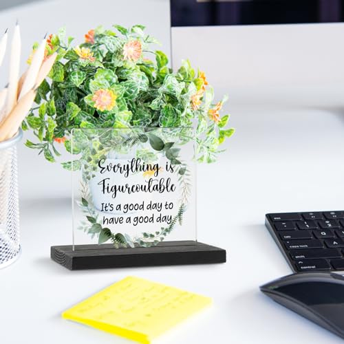 Never Forget The Difference You Make Positive Reminder Desk Decor Sign, but Did You Document It Funny Home Office Desk Plaque Gifts for Coworker Retirement Women Men Friend TZJ39