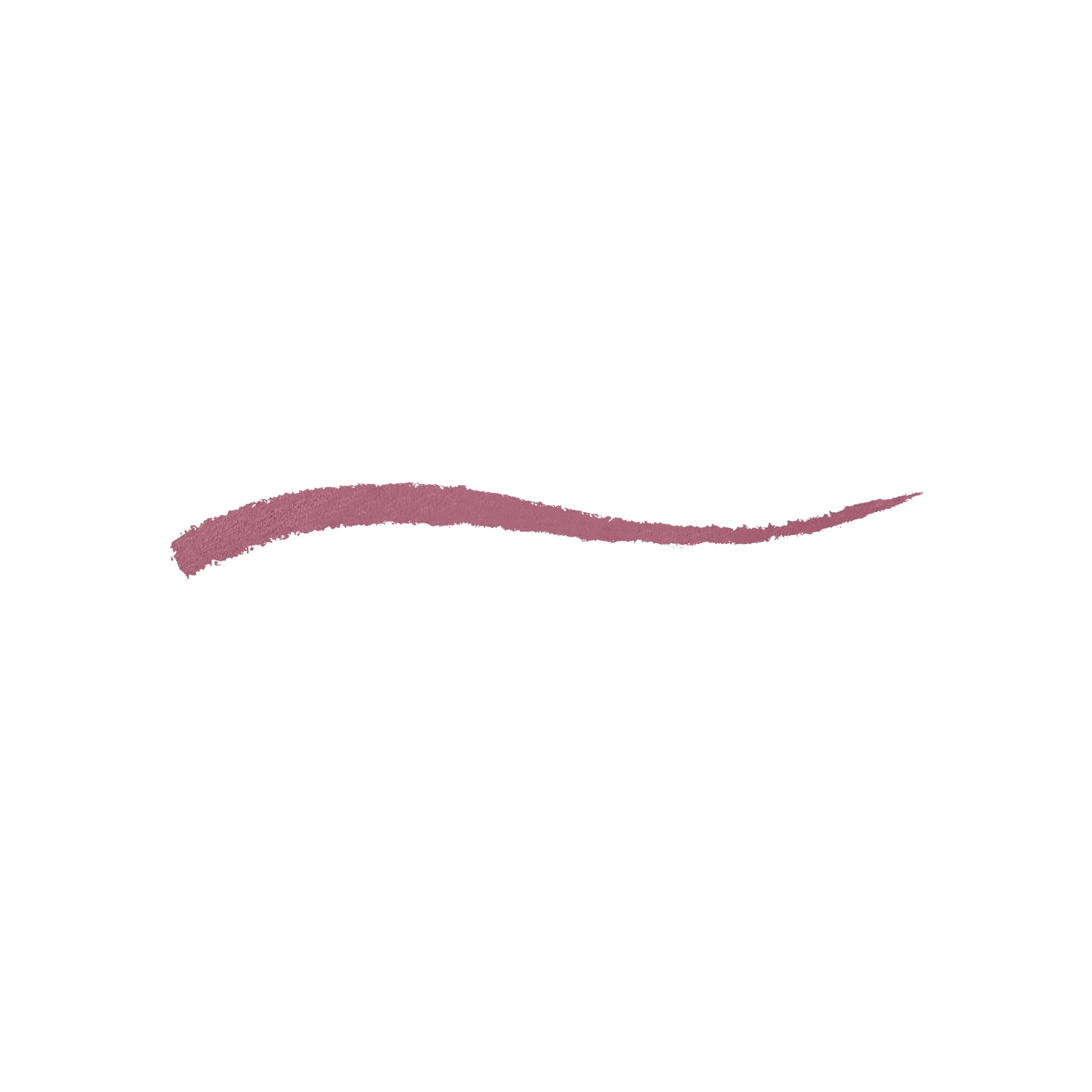 KIKO Milano Everlasting Colour Precision Lip Liner 12 | Automatic Lip Pencil