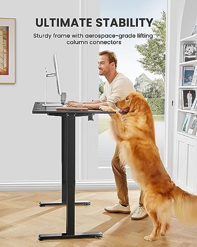 ErGear Height Adjustable Electric Standing Desk, 40 x 24 Inches Sit Stand up Desk, Small Memory Computer Home Office Desk (Black)