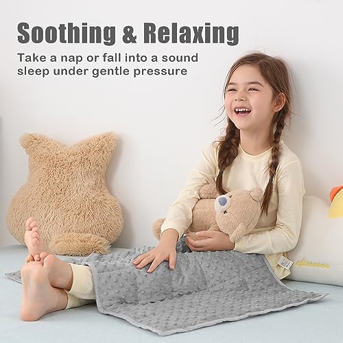 Sivio Weighted Lap Blanket for Kids, Minky Dots Children Weighted Blanket,Soft and Cozy Cooling Heavy Blanket for Sleeping, Calm and Nap, School and Home,2lbs 20 x 30inches, Grey