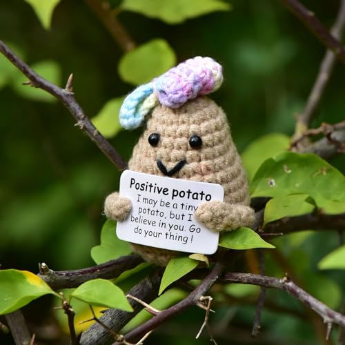 qyqkfly 1 Pcs Mini Cute Funny Positive Life Bunny Creative Knitted Animal Holding Card Crochet Easter Birthday Christmas Girls Gifts Party Decor(Potato)